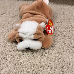 Ty Beanie Baby - "wrinkles" NWT
